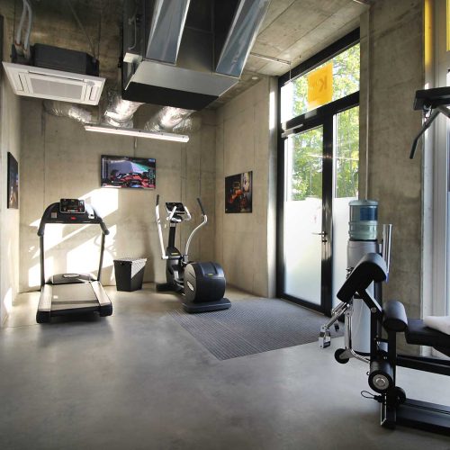 fitness
